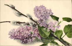 CPA Fantaisie Fleurs 