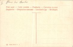 CPA Fantaisie Fleurs 