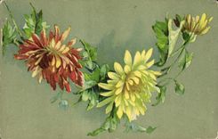 CPA Fantaisie Fleurs 