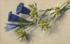 CPA Fantaisie Fleurs 