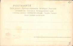 CPA Fantaisie Fleurs 