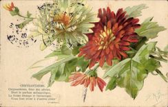 CPA Fantaisie Fleurs Chrysantheme