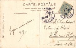 CPA Fantaisie Fleurs Chrysantheme