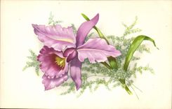 CPA Fantaisie Fleurs 