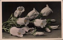 CPA Fantaisie Fleurs 