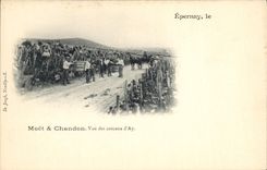 Vintage Postcard Folklore Wine Vineyards Moet Champagne and Chandon Seen of the slopes of Ay Epernay