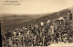 Vintage Postcard Folklore Wine Vineyards Champagne Moet and Chandon the grape harvest has Ay Champagne