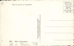 CPA Arbre Allee d'eucalyptus 