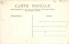 CPA Arbre Royan Le parc Perdus dans la foret