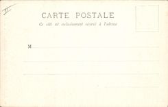 CPA Arbre Foret de Chantilly Avenue des aigles