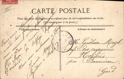 CPA Arbre Nimes Le grand cedre