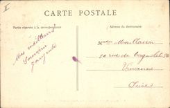 Vintage Postcard Tree Holy Park Maur last fir trees of the park