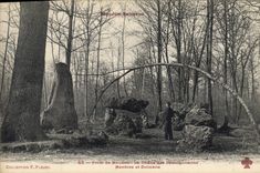 Vintage Postcard Tree Drill of Meudon the oak of the missionaries Menhirs and dolmens