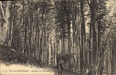 Vintage Postcard Arbre Drill of Compiegne the Mount of Trembles