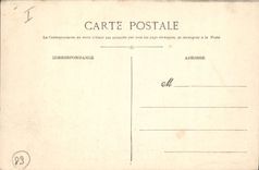 Vintage Postcard Tree Hyeres Road of the Mount of the Birds and San Salvadour