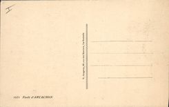 Vintage Postcard Tree Drill of Arcachon