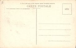 Vintage Postcard Arbre Drill of Slow the fir tree bronzes