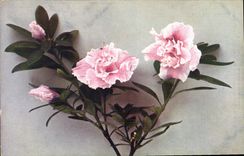 CPA Fantaisie Fleurs 