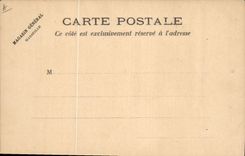 CPA Drapeau Femme Autriche Austria