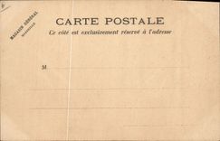 CPA Drapeau Femme Autriche austria