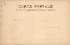 CPA Drapeau Femme Bresil Brazil