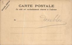 CPA Drapeau Femme France 