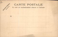 Postal Bandera Mujer Noruega Norway León