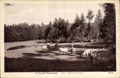 CPA Folklore Creuse Scene de paturage Vaches 