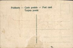 CPA Fantaisie Fleurs Trefles 