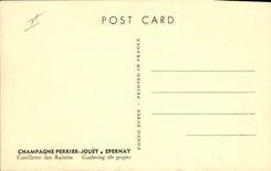 Vintage Postcard Folklore Wine Vintage Champagne Perrier Toy Epernay Gathering of the grapes