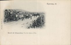 Postal Folclore Vino Vendimia Champaña Moet & Chandon Epernay Vista de las laderas de Ay