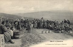 Postal Folclore Vino Vendimia Champaña Moet & Chandon el almuerzo de los vendimiadores a Epernay CUMBRE