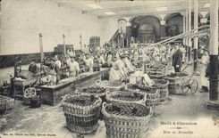 CPA Folklore Vin Vendange Champagne Moet & Chandon Mise en bouteilles