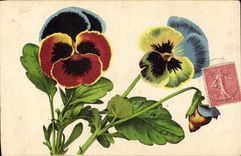 CPA Fantaisie Fleurs 