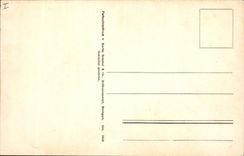 CPA Fantaisie Fleurs 