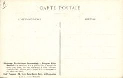 CPA Fantaisie Fleurs Consoude Officinale Famille des Borraginees 