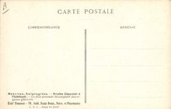 CPA Fantaisie Fleurs Melampyre des Pres Famille des Scrofularinees 