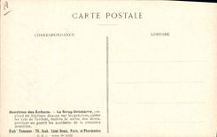 CPA Fantaisie Fleurs Ortie Blanche Famille des Labiees 