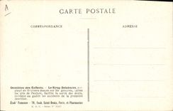 CPA Fantaisie Fleurs Erythree petite centauree 