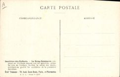 CPA Fantaisie Fleurs Veronique officinale Famille des Scrofularinees 