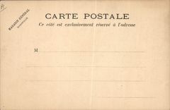 CPA Drapeau Femme Mexique Mexico