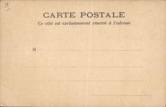 CPA Drapeau Femme Norvege Norway Lion