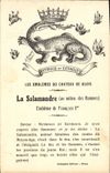 CPA Armoiries Chateau de Blois La Salamandre Francois 1er 