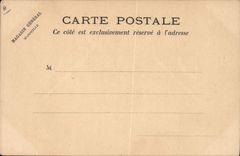 CPA Drapeau Femme France