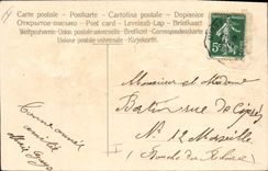 CPA Fantaisie Fleurs Citrons (en relief) 