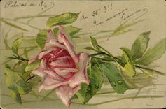 CPA Fantaisie Fleurs 