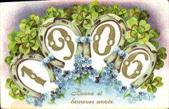 Vintage Postcard Fantasy Flowers Year 1906 Clover