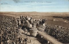 Vintage Postcard Folklore Vine Wine Grape harvest Champagne Surroundings of Epernay