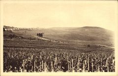Vintage Postcard Folklore Vine Wine Grape harvest Champagne Vineyard of Being on fire First white grape vintage