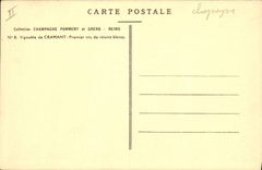 Postal Folclore Vid Vino Vendimias Champaña Viñedo de que Chamusca Primer vendimia de uvas blancas